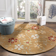 Safavieh Blossom Collection BLM784A Handmade Brown and Multi Wool Area Rug