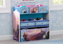 Disney Frozen 2 Multi-Bin Toy Organizer